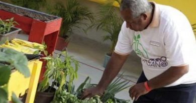 Gobierno Nacional afina detalles de lanzamiento del Plan de Siembra de Hortalizas con rubros para las hallacas soberanas