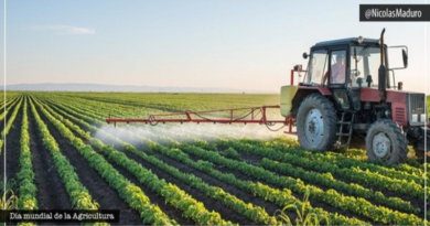 Presidente Maduro reitera su máximo apoyo a los productores agrícolas del país en el Día Mundial de la Agricultura