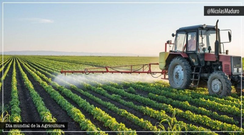 Presidente Maduro reitera su máximo apoyo a los productores agrícolas del país en el Día Mundial de la Agricultura