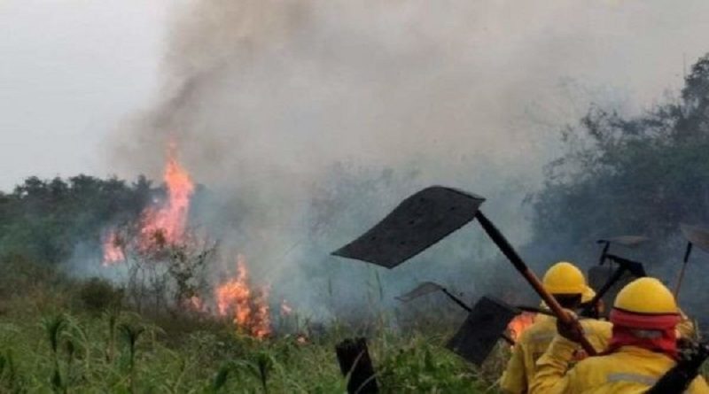Autoridades bolivianas reportan 26 incendios forestales en el país