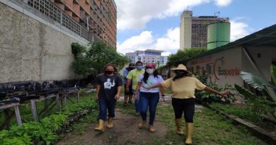 Más de 400 productores fueron atendidos con el "Plan Siembra de Maíz 2020" a nivel nacional
