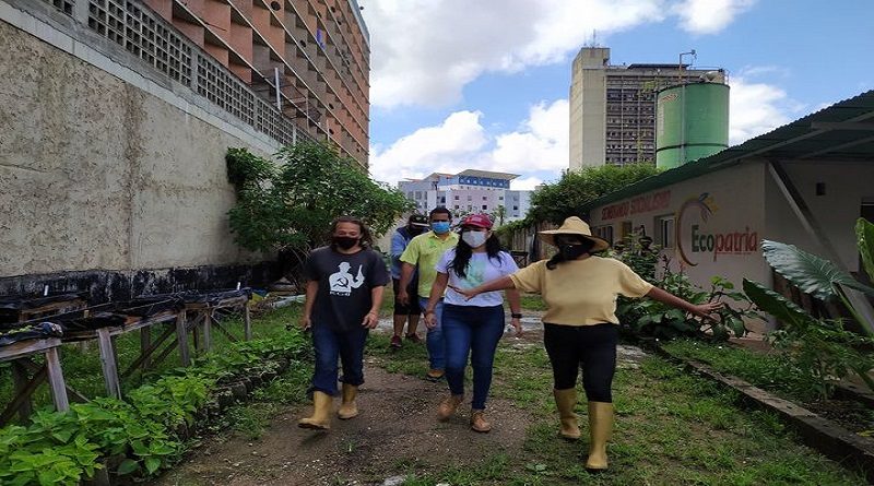 Más de 400 productores fueron atendidos con el "Plan Siembra de Maíz 2020" a nivel nacional