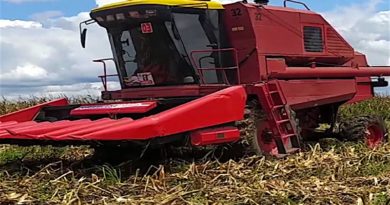 Fortalecen Plan de siembra ciclo invierno 2020 con el cultivo de 1800 hectáreas de maíz blanco en Portuguesa