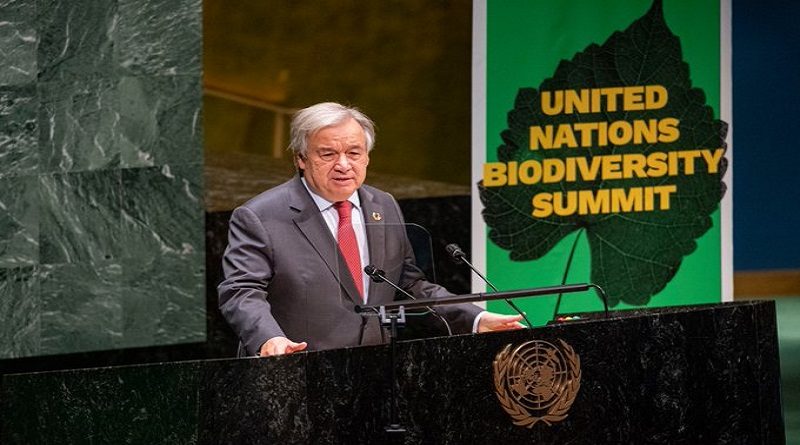 ONU pide atacar violencia y desigualdad contra la mujer incrementadas por la pandemia