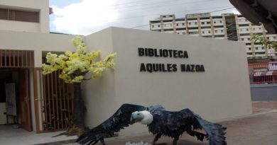 ESPECIAL| Bibliotecas se reafirman como espacios para la transformación del pensamiento