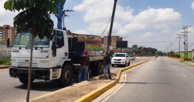 Rehabilitan alumbrado público en la avenida Los Llanos en la cuidad de Barinas