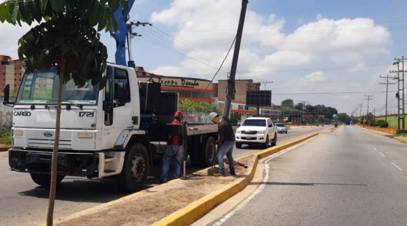 Rehabilitan alumbrado público en la avenida Los Llanos en la cuidad de Barinas