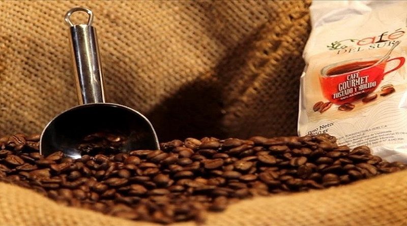 Grano de café venezolano triunfa en la I Subasta Virtual de Singapur 2020