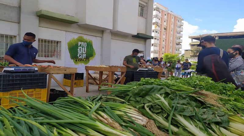 Un total de 695 familias son atendidas a través de las Ferias Agroproductivas en el Urbanismo Ciudad Lebrún en Miranda