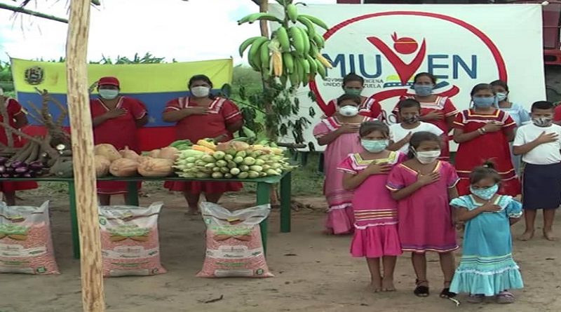 Conuqueros indígenas de la comunidad Caputano impulsan desarrollo productivo con la siembra de diferentes rubros en Monagas