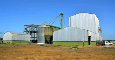 Planta de Alimentos Balanceados para Animales de Guárico será inaugurada en próximos días