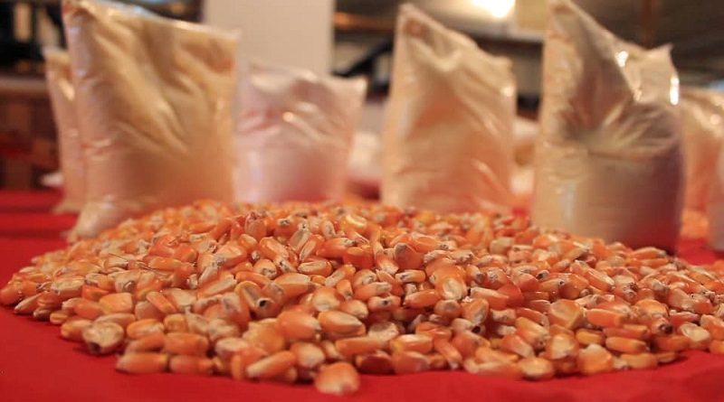 Relanzamiento Programa Universidad Productiva abrirá paso a la transformación del aparato productivo nacional