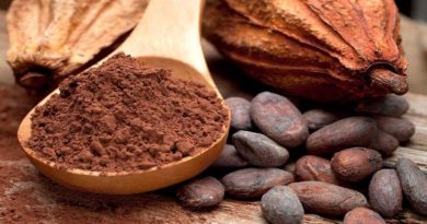 Cacao venezolano es premiado y catalogado como "Simplemente Delicioso" y "Maravilloso" en concurso Great Taste Awards 2020 