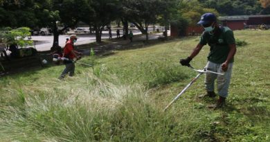 Minec intensifica desmalezado y limpieza de los parques recreativos de la Gran Caracas