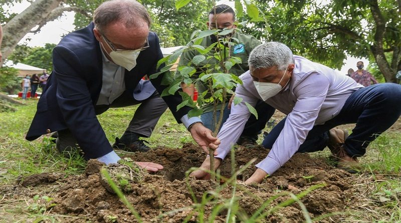 Venezuela y Turquía acuerdan plantar dos mil árboles en el Parque Nacional Warairarepano