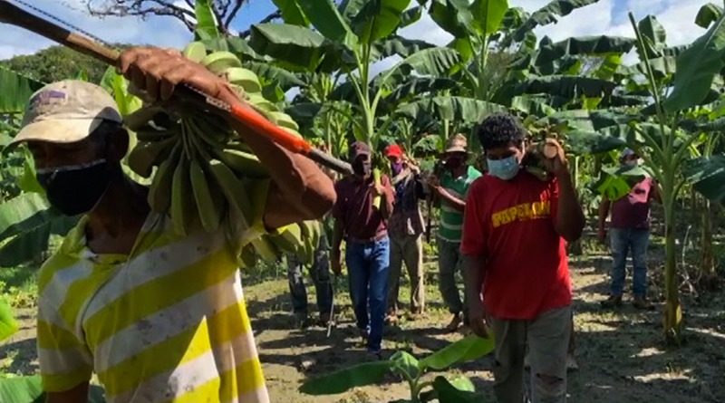 Cultivando Patria