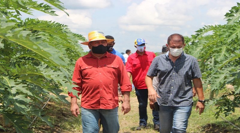 Inspeccionan Unidad de Producción Kambuca en Trujillo para el reimpulso de la actividad agrícola