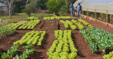 Alianza Democrática propone legislar a favor de la producción de alimentos
