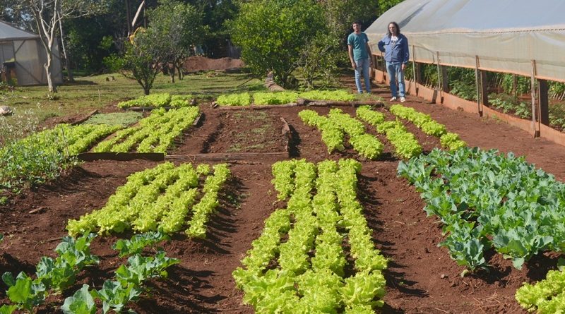 Alianza Democrática propone legislar a favor de la producción de alimentos