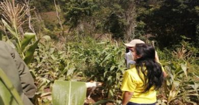 Realizan recorrido por espacios productivos de Caracas para potenciar la Misión AgroVenezuela