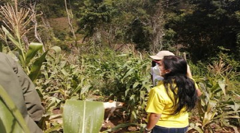 Realizan recorrido por espacios productivos de Caracas para potenciar la Misión AgroVenezuela