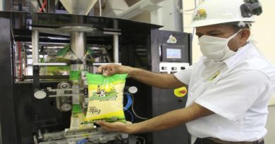 Planta procesadora de maíz Juana Ramírez en Monagas incrementó capacidad instalada a 1.260 toneladas mes