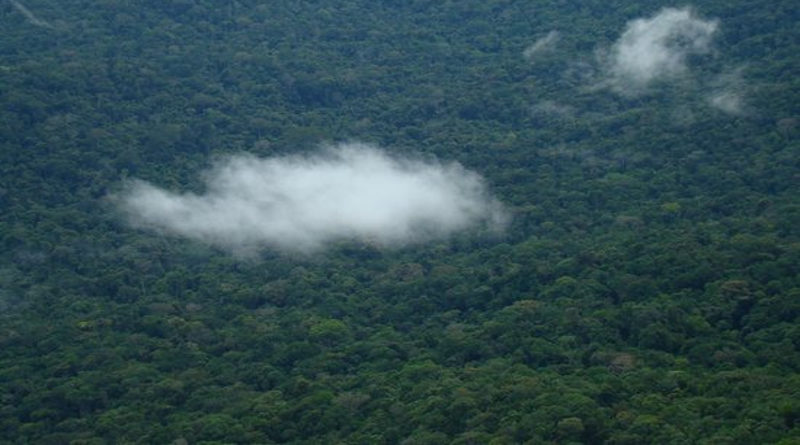 Continúa búsqueda de connacionales presuntamente extraviados en la Gran Sabana