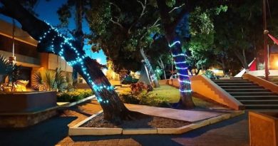 Plan Soy Guárico Navidad 2020 recorre todos los municipios del estado Guárico