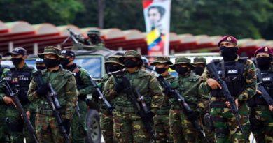 Un total de 108 mil 622 funcionarios de seguridad ciudadana se suman al Plan República 2020