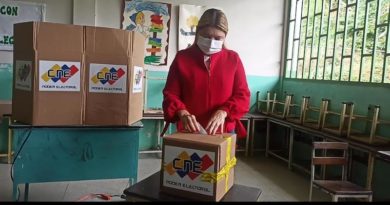 Ministra Eneida Laya: Con la participación se logra la continuidad de la democracia