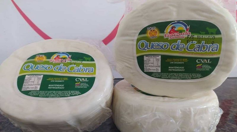 Lácteos Los Andes de Lara impulsa producción de Queso de Cabra Pasteurizado
