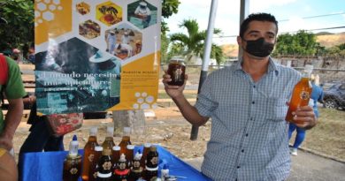 Monapi impulsa la apicultura venezolana desde Guárico