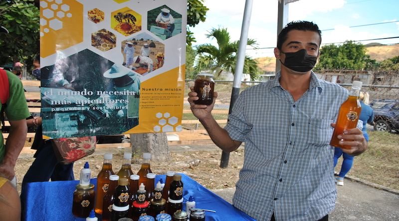 Monapi impulsa la apicultura venezolana desde Guárico