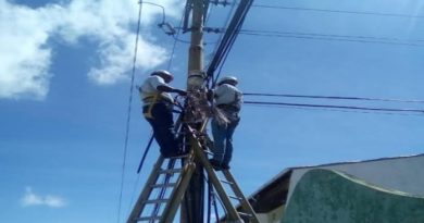 Para programar ** CANTV repone redes para conectar a 320 usuarios en el estado Yaracuy