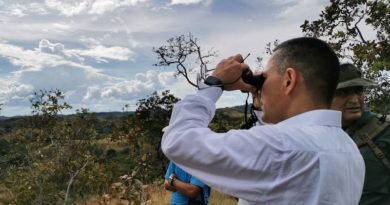Miniserie dirigida por Luis Alberto Lamata recreará la Batalla de Carabobo