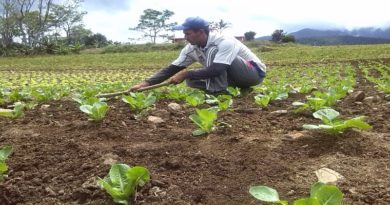 Gobierno Bolivariano entrega financiamiento en insumos y herramientas a productores agrourbanos para el fortalecimiento de 17 espacios productivos en parroquia 23 de Enero de Caracas