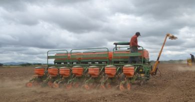 Con cultivo superior a 12 mil hectáreas de arroz en Calabozo adelantan Plan de Siembra ciclo Norte-Verano 2021