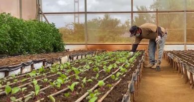 Presidente Maduro exalta entrega de los trabajadores del campo por el desarrollo productivo de la Patria en el Día del Campesino
