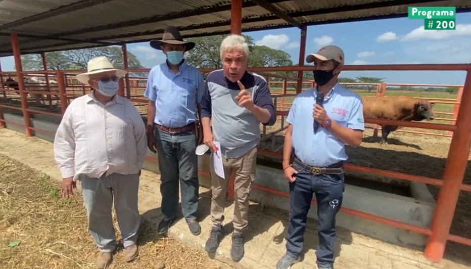 En Hato Matapalos | Corporación Ganadera de Apure provee material de alto nivel genético para inseminaciones de vacas a productores de Venezuela