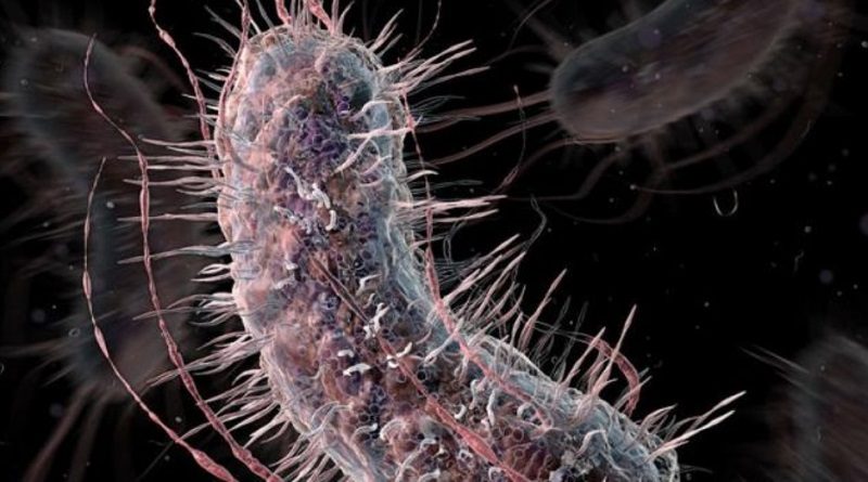 Laboratorio estatal ruso Vektor investiga virus prehistóricos