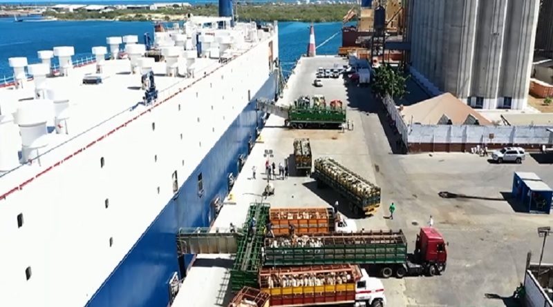 Gobierno Nacional estima exportar 300 mil cabezas de ganado al año para impulsar el sector
