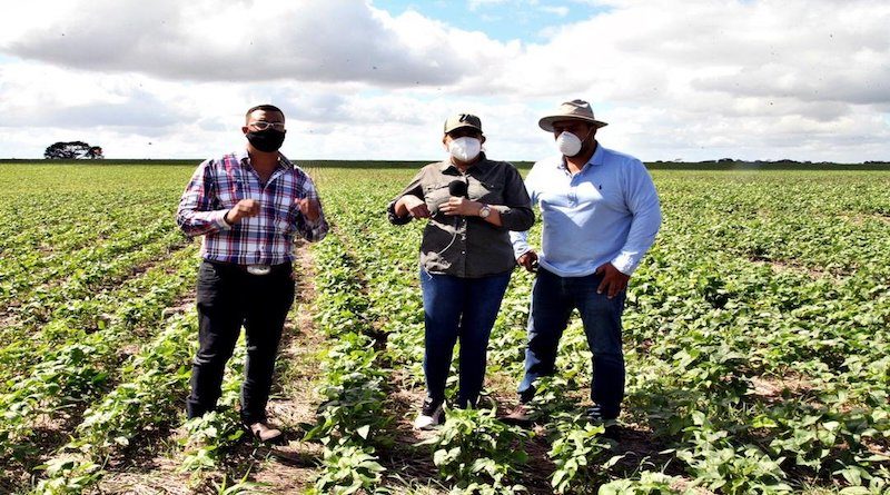 Asociación cooperativa Flores del Palmar cosecha 1160 hectáreas de soja y frijol en Monagas