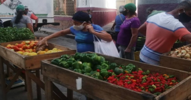 Más de 500 familias beneficiadas en Feria Agroproductiva en urbanismo Araguaney de la parroquia Petare