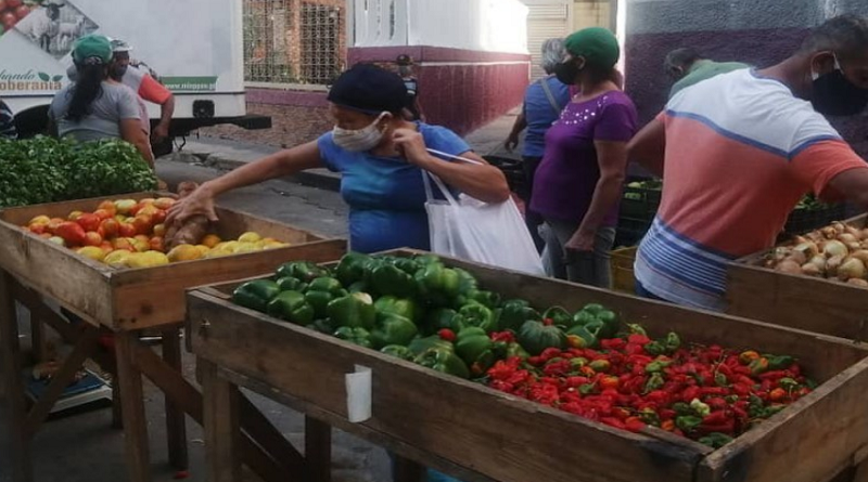 Más de 500 familias beneficiadas en Feria Agroproductiva en urbanismo Araguaney de la parroquia Petare