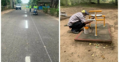 Ejecutan trabajo de embellecimiento en el parque La Llovizna
