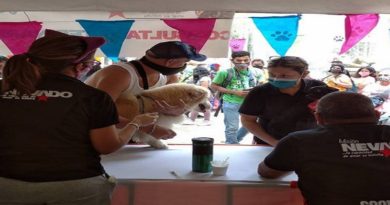 Misión Nevado realiza jornada de atención medica y adopción de perros y gatos en plaza La Candelaria en Caracas