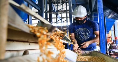 Miércoles Productivo | Venezuela produce sus semillas soberanas sustituyendo la economía de puertos para garantizar el alimento del pueblo