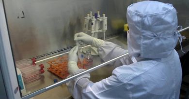 Unidad de Terapia Celular del IVIC aplicará células madre para regeneración de córnea y articulación de mandíbula