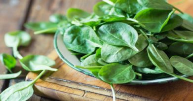 La espinaca como fuente excelente de vitaminas K, A ,C y ácido fólico