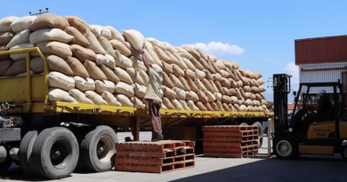 Cada silo de la Empresa Nacional del Café tiene una capacidad de almacenamiento de aproximadamente 400.000 kilos